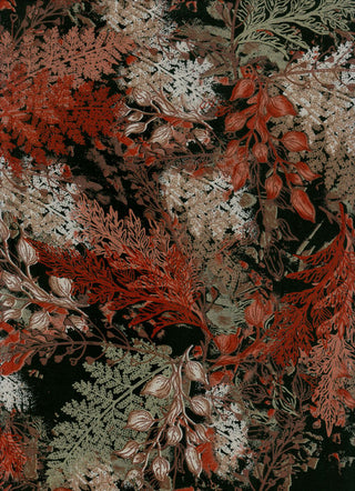 Variant recIs0ZiKpyhWUZBu