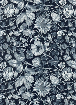 Variant recmSNogTxEkCVmcQ