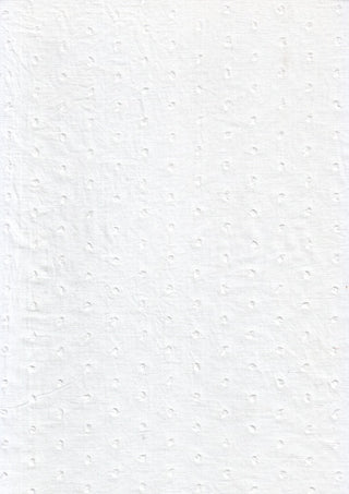 Variant recZrCaav9QVPVxA3