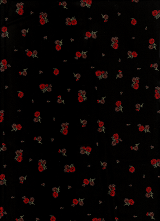 Variant recvsKjZWJp037ugr