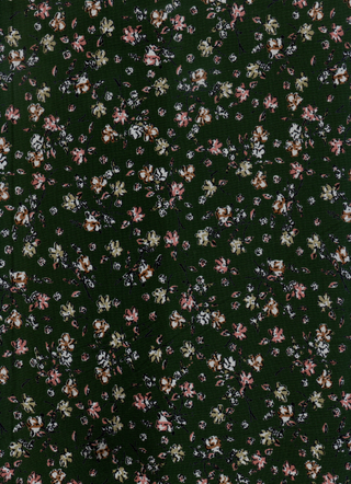 Variant rec5nSA4p9DAz3PJs