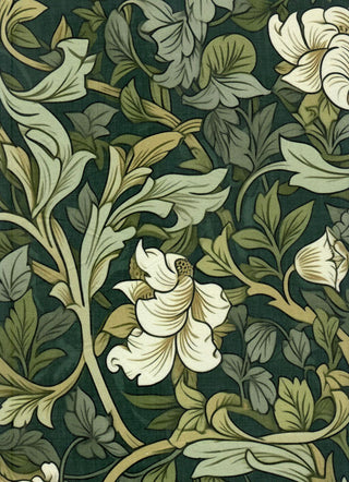 Variant recT54mbq4gSKNvyS