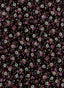M3677