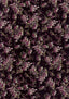 M1203