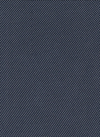 Variant recWDSBoW0Ev1NagZ