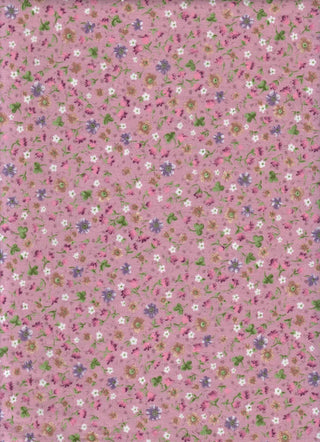 Variant recWCQIbn4jApeDVG