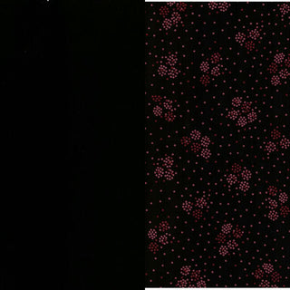 Variant rec2Zt3B8csgpWlEv