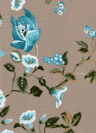 Variant rec6hDYeEtS91XLFt