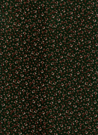 Variant reccTePlAdVzSEv3P